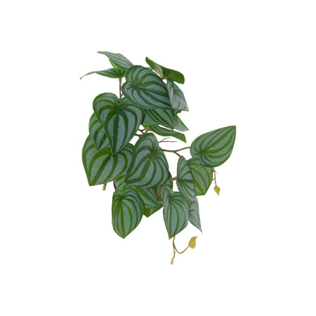 Artificial Plant Pothos Leaf Stem 23cm