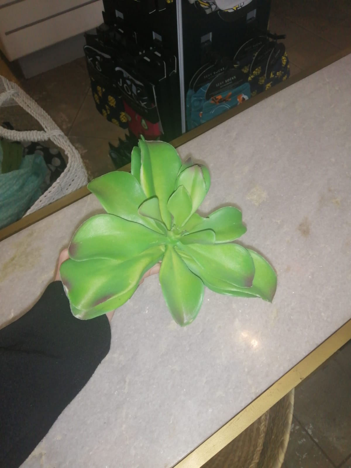 Artificial Plant Veldbloom Succulent