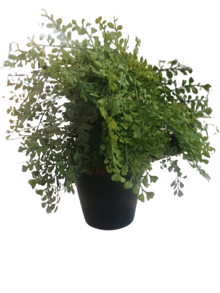 Artificial Plant Potted